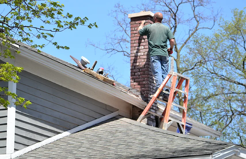 Chimney & Fireplace Inspections Services in Randolph, MA
